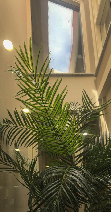 Rua Grande Hotel Виана-ду-Каштелу Экстерьер фото